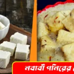 Nawabi Paneer Recipe, নবাবী পনির রেসিপি,